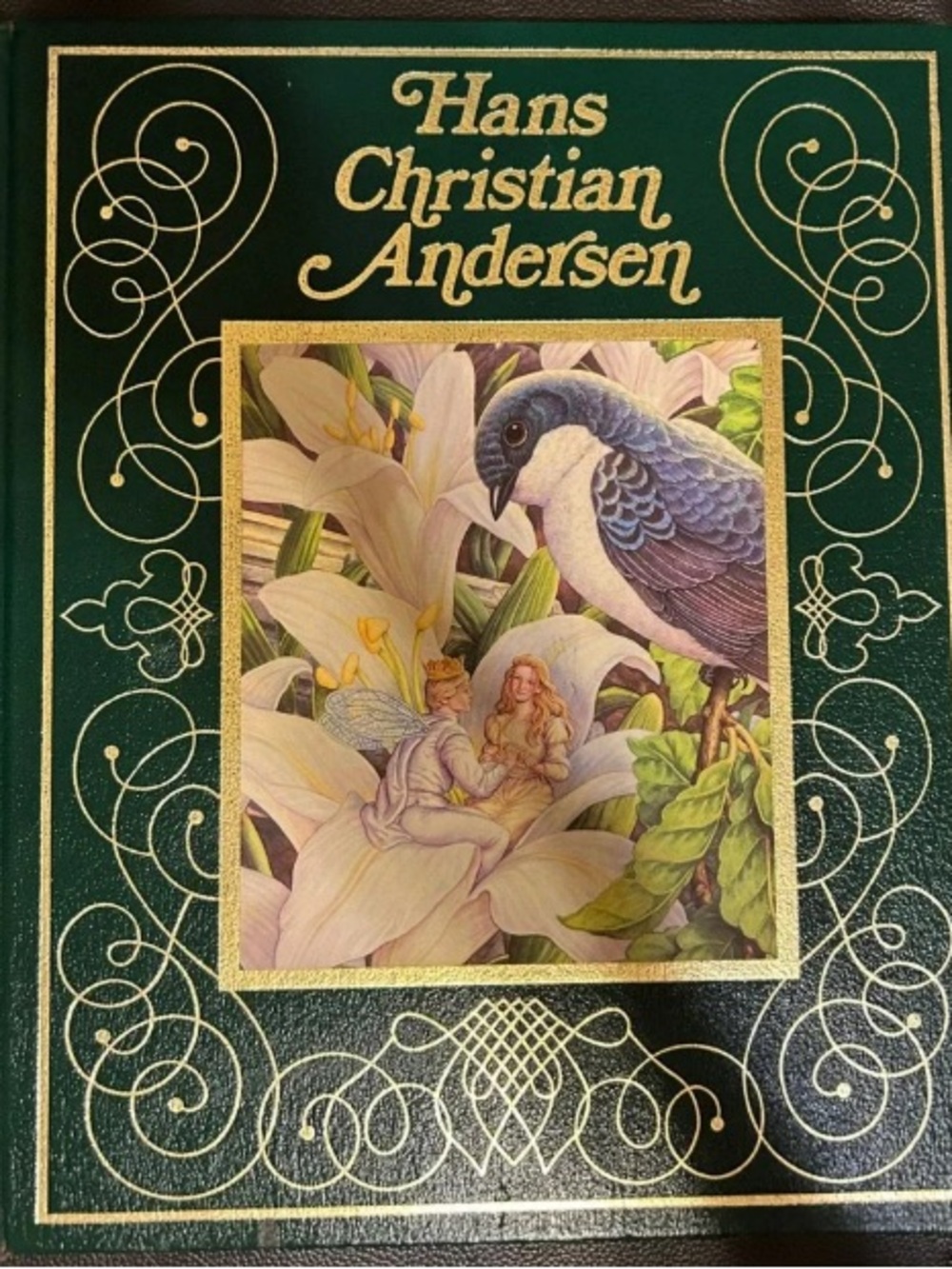 Book cover with bird illustration